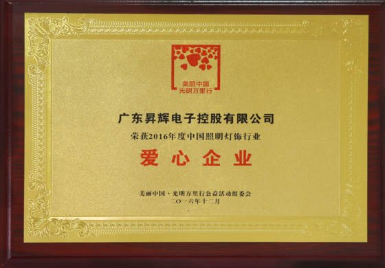 2016年度中國(guó)照明燈飾行業(yè)愛(ài)心企業(yè)
